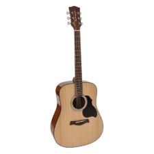 guitare dreadnougnt richwood all solid master series d-240