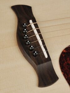 guitare dreadnougnt richwood d-220