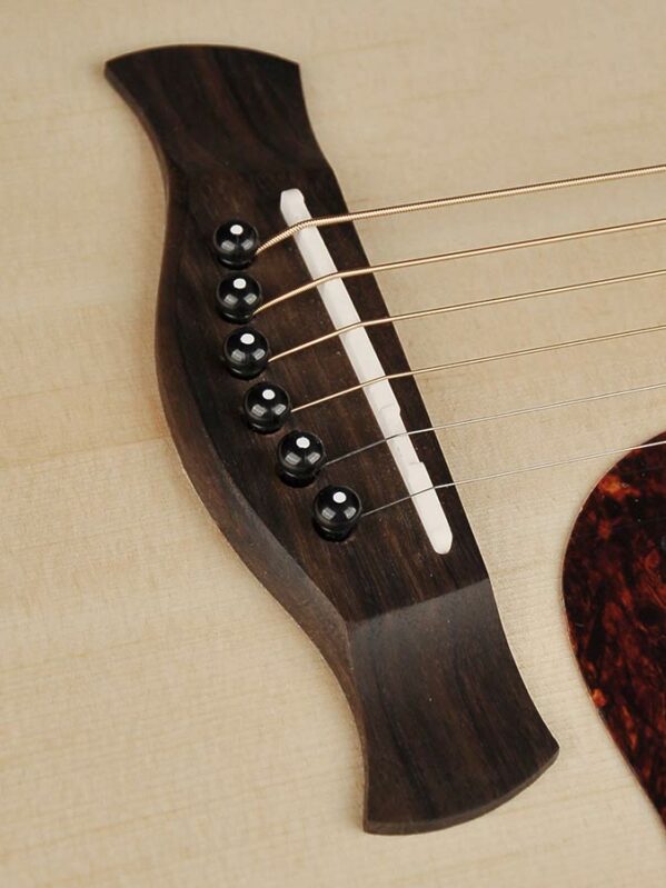 guitare dreadnougnt richwood d-220
