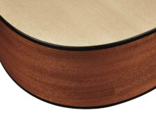 guitare dreadnougnt richwood d220