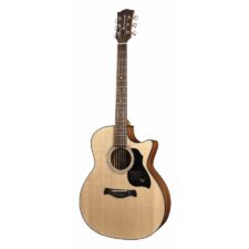 guitare richwood master serie grand auditorium g40ce
