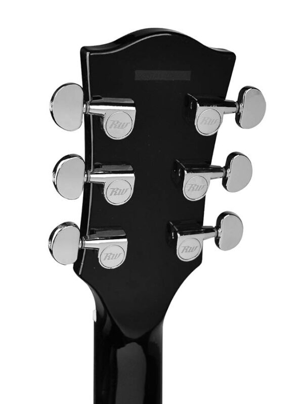 reg-435-mbk richwood guitar