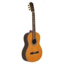 guitare classique rosa c salvador cortez iberia series