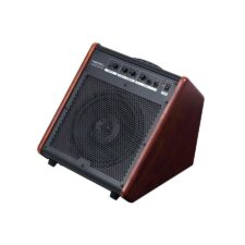 ampli batterie medeli ap33