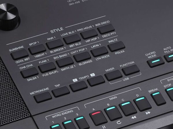 Touches clavier arrangeur 5 octaves Medeli AK603 Pro Series