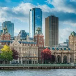Ce capodastre BOSTON à 12€ vaut-il vraiment mieux qu’un modèle à 60€ ?