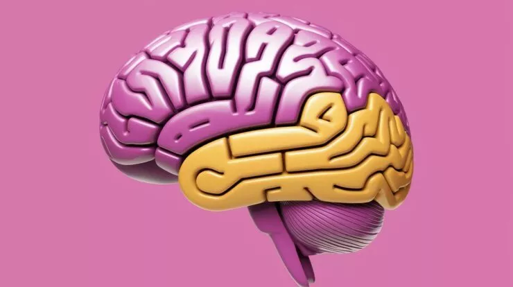 Manipulation auditive : comment la musique des magasins influence votre cerveau