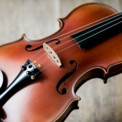 Ce violon à 20€ déniché en brocante vaut une fortune