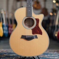 Connaissez-vous Taylor Guitars ?