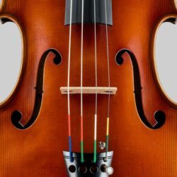 Un Stradivarius retrouvé 80 ans après : le récit bouleversant d’un héritage musical