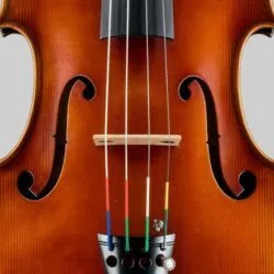 Un Stradivarius retrouvé 80 ans après : le récit bouleversant d’un héritage musical