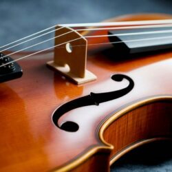 J’ai branché un MV1 de FWF sur un Stradivarius