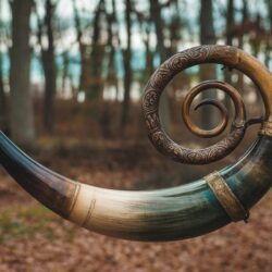 Pourquoi la trompe de chasse fascine autant… même ceux qui détestent la chasse