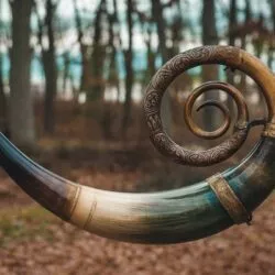 Pourquoi la trompe de chasse fascine autant… même ceux qui détestent la chasse
