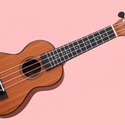 Ce ukulélé vendu 87 000€ sur eBay a déclenché une guerre d’enchères