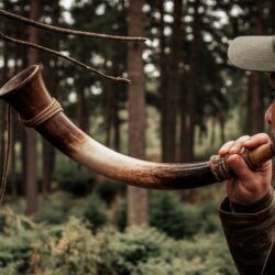 La vérité sur la puissance sonore de la trompe de chasse