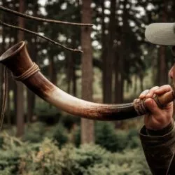 La vérité sur la puissance sonore de la trompe de chasse