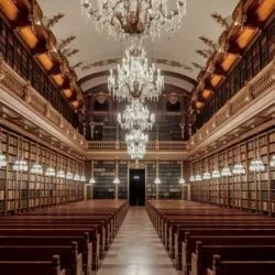 Les bibliothèques musicales d’artistes célèbres enfin dévoilé