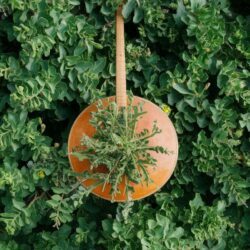 Plantes, coquillages, bambous : les secrets des instruments les plus écologiques du monde