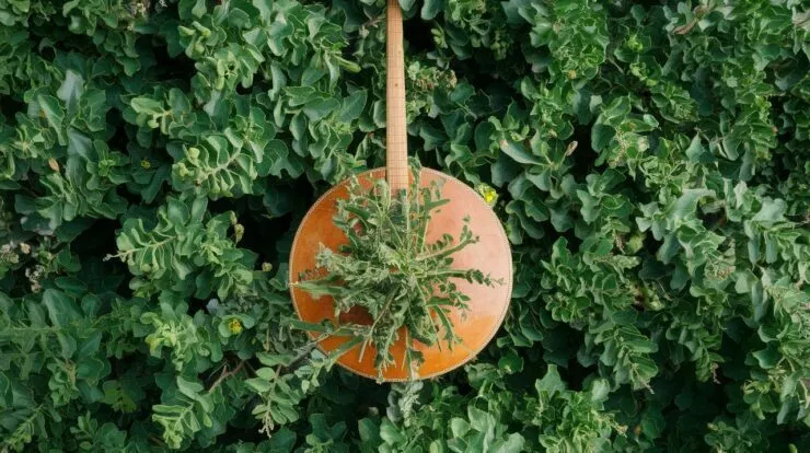 Plantes, coquillages, bambous : les secrets des instruments les plus écologiques du monde