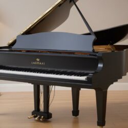 J’ai testé le Kawai DG30 : voici ce qu’il a dans le ventre