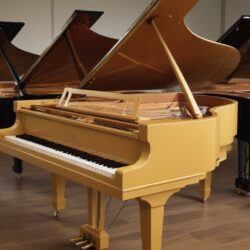 Quelle marque tchèque fabrique environ 2 000 pianos à queue chaque année ?