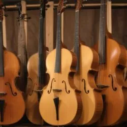 Rangement : cette astuce de luthier prolonge la vie des instruments de 10 ans